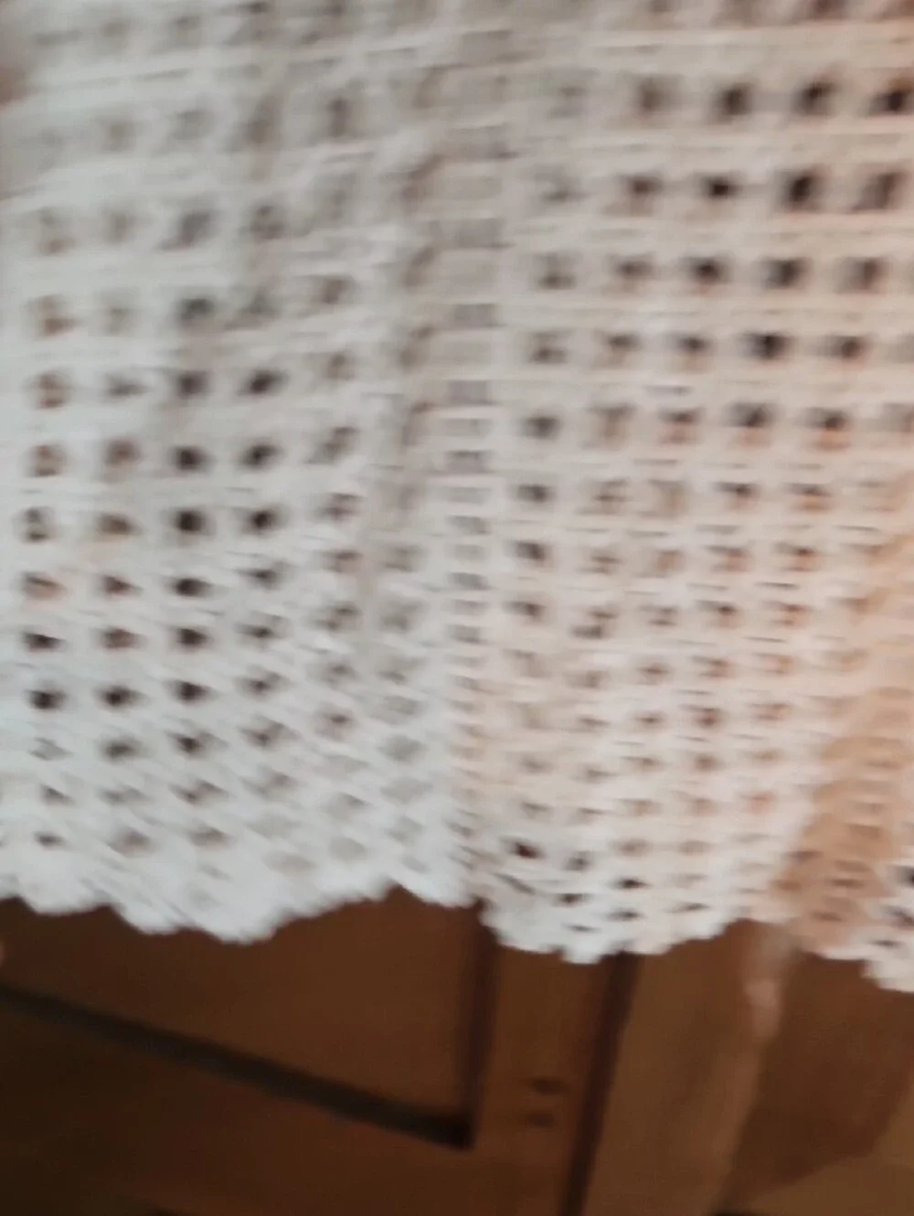 Free People Ivory Crochet Floral Openwork Sweater